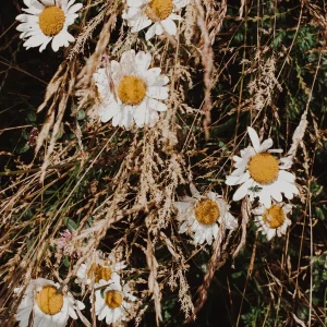 Het muurtje zetten. Naast elkaar ouder zijn