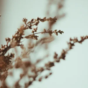 Hoe de stress toxisch kan worden en welk effect dat heeft op jou