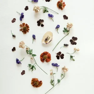 Jouw netwerk. Steunpilaren of niet?